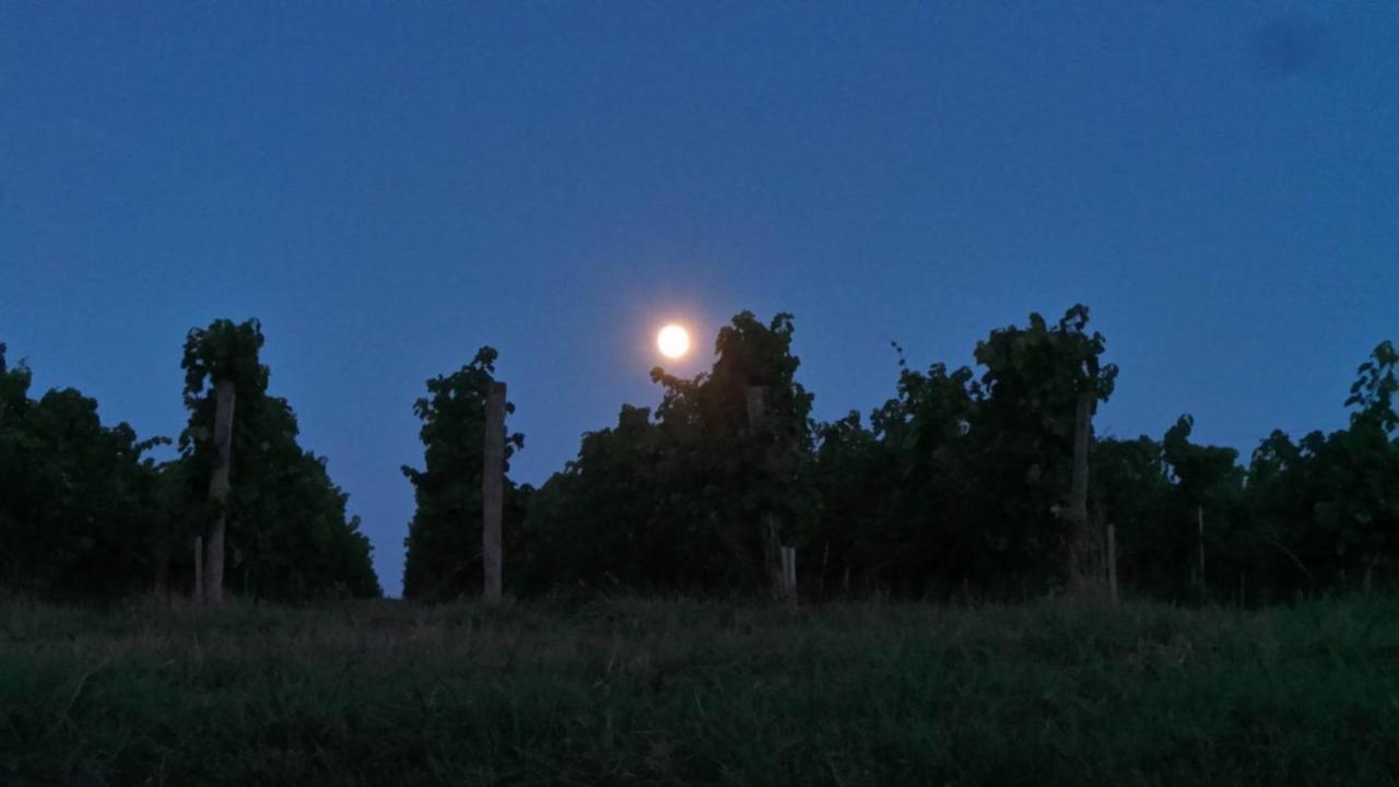 Dom Peyreton Prestige Cottages Set In A Charming Wine Property Villegouge Buitenkant foto